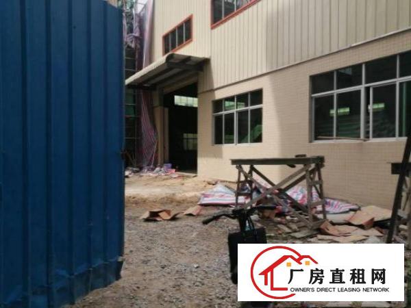  全新独门独院单一层单一层出租