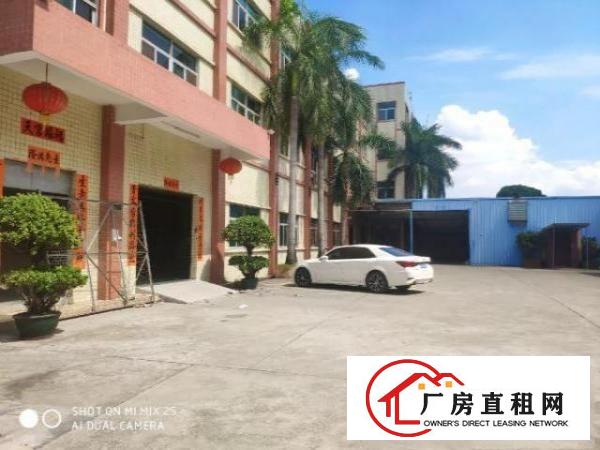  独门独院标准厂房出租