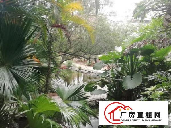  东莞茶山花园式厂房出租楼上一层2500㎡