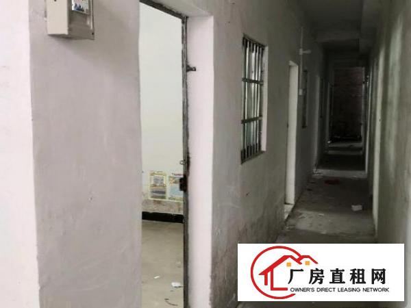 茶山原房东铁皮厂房出租无公摊送一百多平方小院子