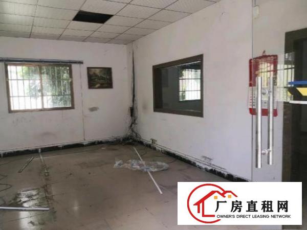  茶山原房东铁皮厂房出租无公摊送一百多平方小院子