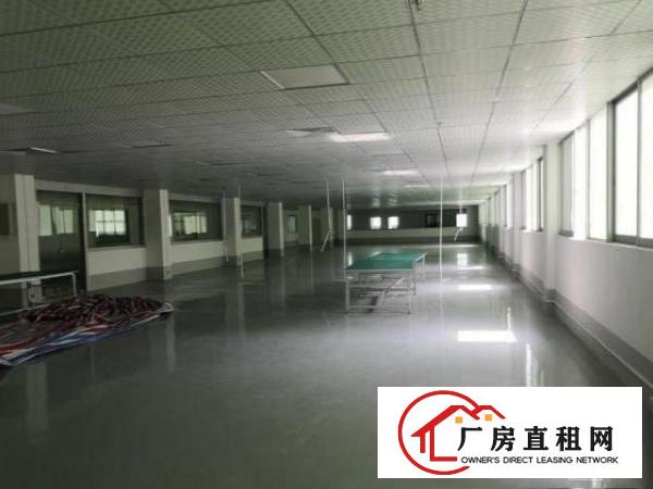  卢边楼上1300平米带豪华精装修厂房出租