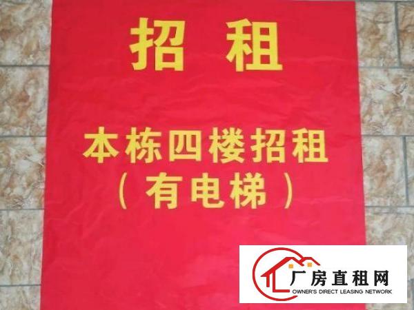  东莞市茶山超朗精装厂房带电梯招租
