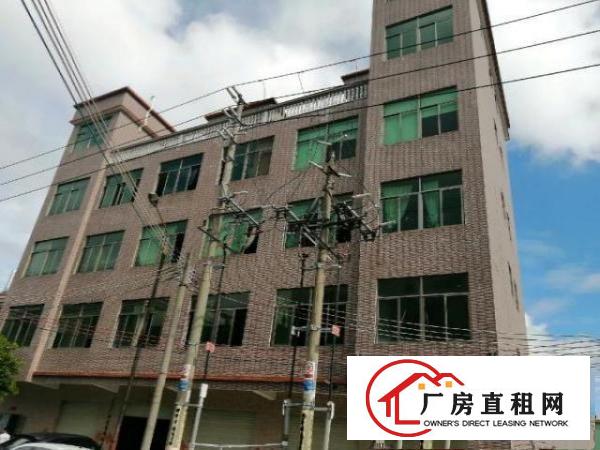  东莞市茶山超朗精装厂房带电梯招租