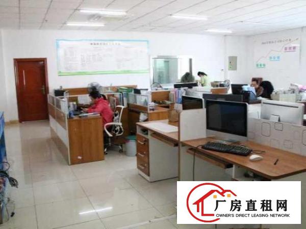 茶山镇布料市场厂房招租