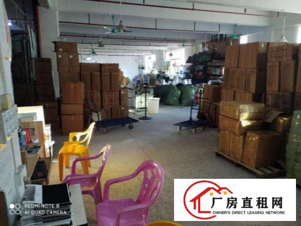  茶山镇布料市场厂房招租