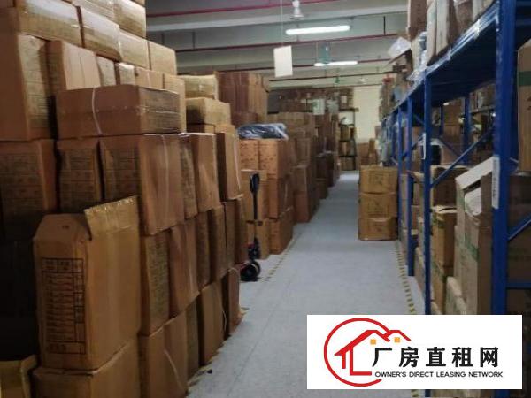  茶山镇布料市场厂房招租