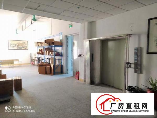  茶山镇布料市场厂房招租