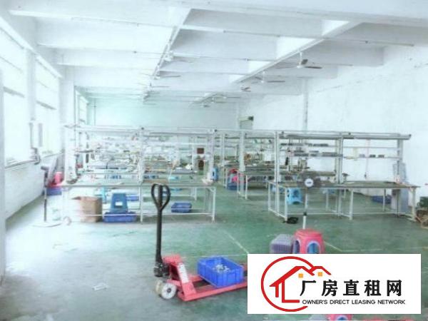  粟边空出一楼500平带装修厂房出租带大空地，实惠特价出租