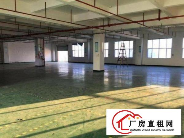  超朗楼上标准厂房600平招租，有地坪漆消防喷淋，入驻及生产