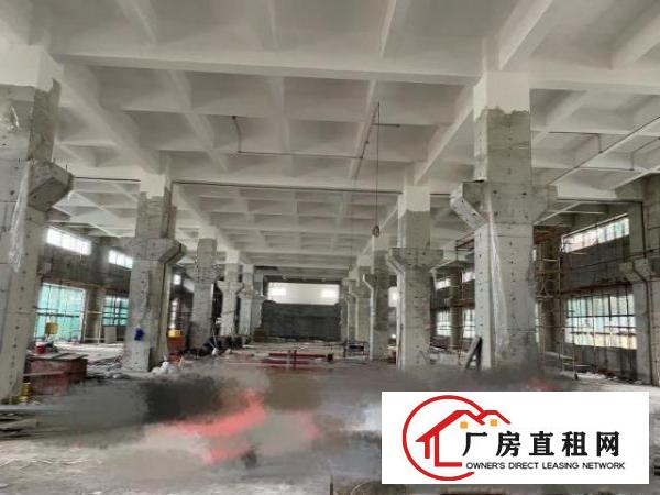  东莞茶山工业区全新原房东厂房出租