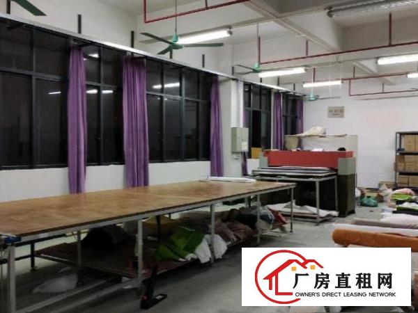  全新工业标准厂房A区二楼带消防喷淋现成办公室及配套装修！