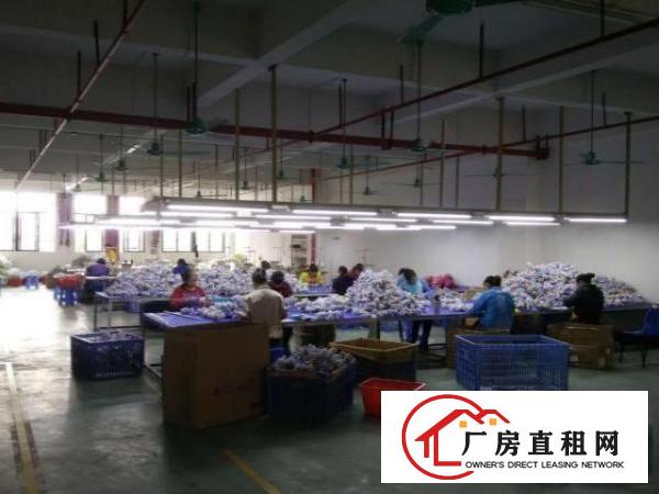  全新工业标准厂房A区二楼带消防喷淋现成办公室及配套装修！