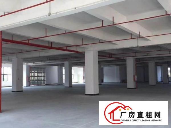  具体租金可商议，每层的租金都有所不同，可分层出租或整栋出租