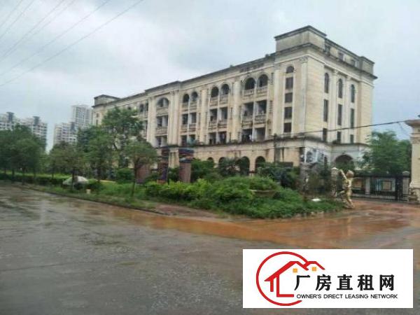  茶山原房东花园式独院三层厂房30000平方10元出租