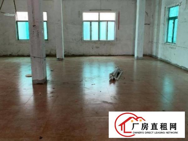  二楼厂房有货梯、工业用电同栋有宿舍