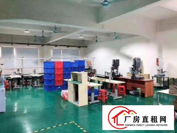  出租茶山城区，256平，价格便宜，水电齐全，位置好，急租急租