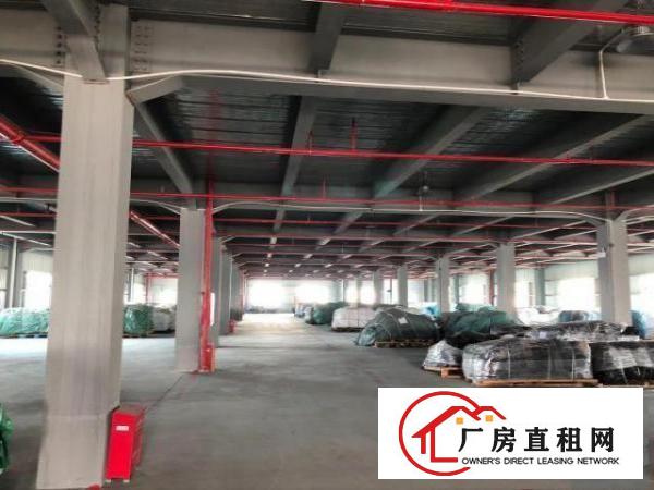  物流园区厂房分租，磨砂地面