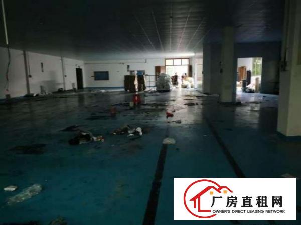  出租原房东单一层厂房独门独院先到先得