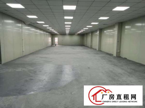  出租原房东单一层厂房独门独院先到先得