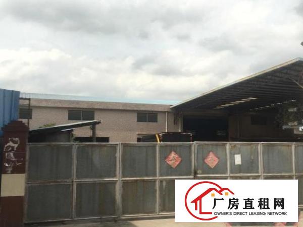  原房东钢结构10米滴水独门独院厂房出租