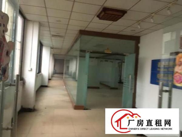  原房东钢结构10米滴水独门独院厂房出租