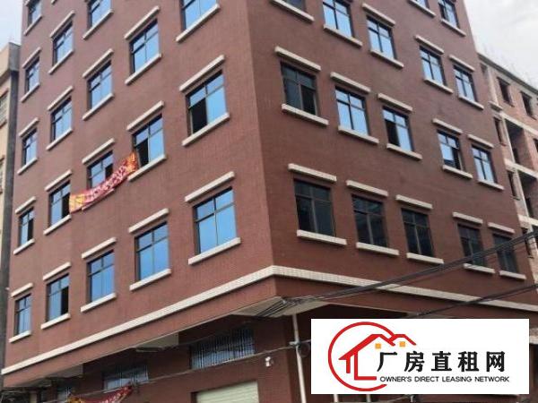 全新电梯厂房，可分租仓库，写字楼，小型厂房