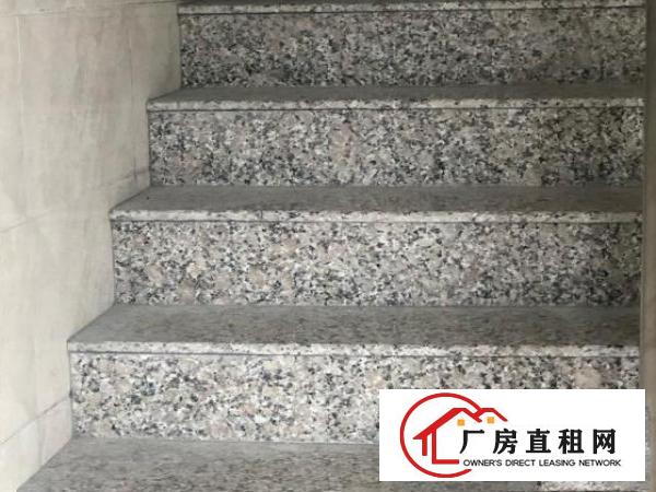  全新电梯厂房，可分租仓库，写字楼，小型厂房