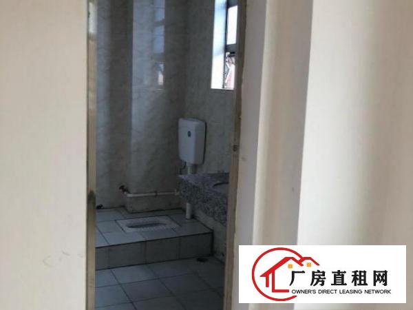  全新电梯厂房，可分租仓库，写字楼，小型厂房