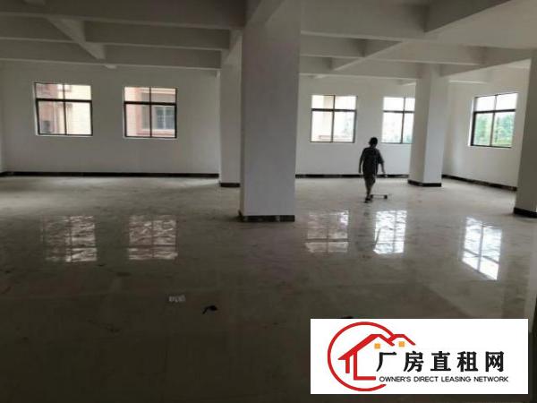  全新电梯厂房，可分租仓库，写字楼，小型厂房