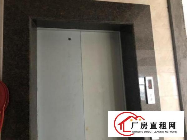  全新电梯厂房，可分租仓库，写字楼，小型厂房
