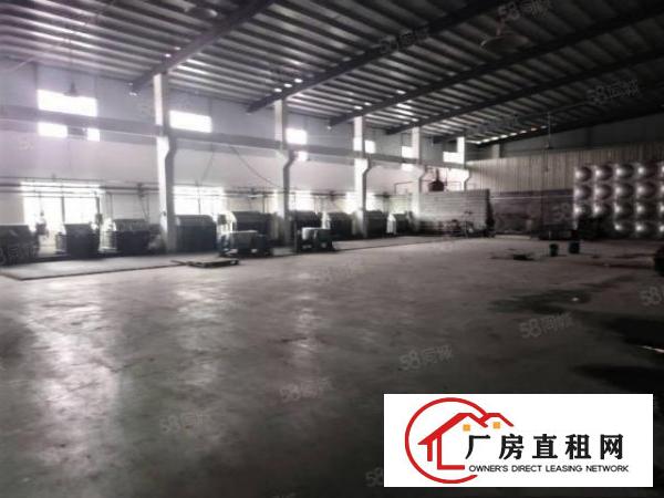  新出原房东独院3500铁皮房滴水8米带消防喷淋