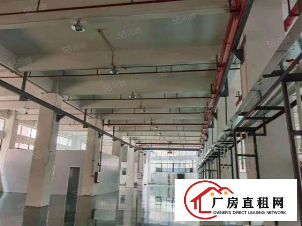  茶山镇工业园新出原房东标准一楼全新地坪漆，带航车。
