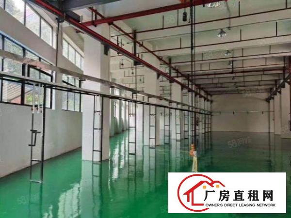  茶山镇工业园新出原房东标准一楼全新地坪漆，带航车。