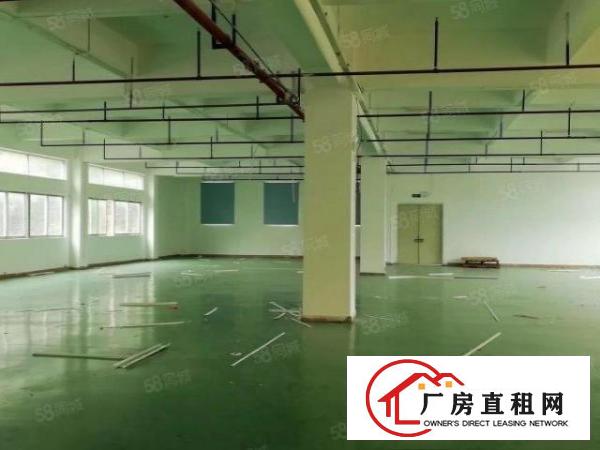  原房东独院分租2楼一整层1500平方