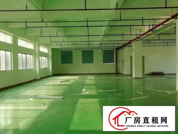  原房东独院分租2楼一整层1500平方
