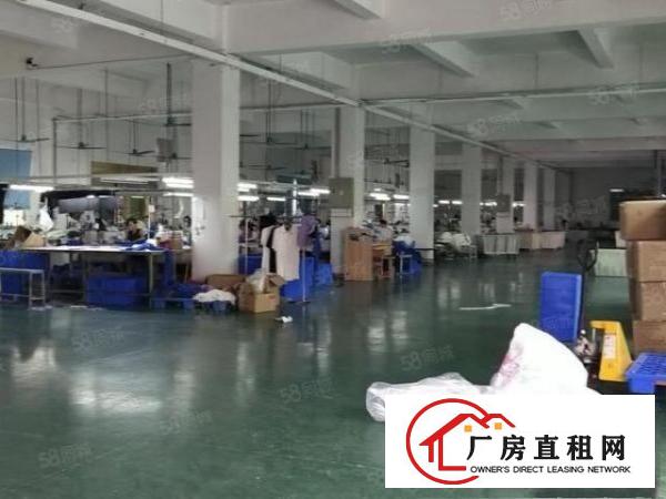  原房东急出租。2楼1500方，12.5块，精装办公室