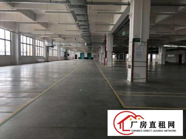  茶山新出独门独院标准厂房8000方，空地3000，一楼6米