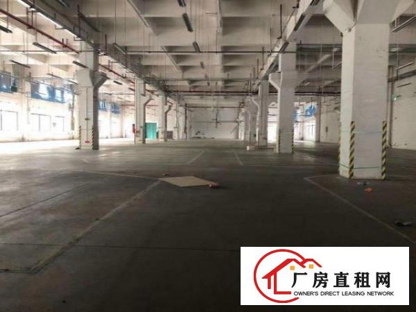  茶山新出独门独院标准厂房8000方，空地3000，一楼6米