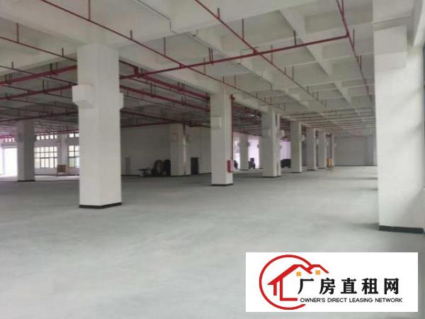 茶山村全新红本标准厂房23000方大小分组，消防喷淋可办环评