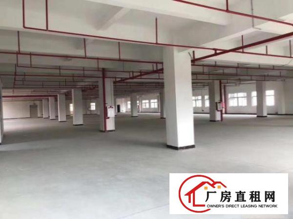  茶山村全新红本标准厂房23000方大小分组，消防喷淋可办环评
