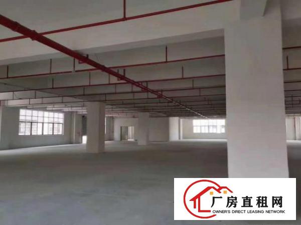  茶山村全新红本标准厂房23000方大小分组，消防喷淋可办环评