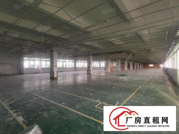  茶山超朗新出独门独院厂房带电镀环评交通便利空地大招工方便