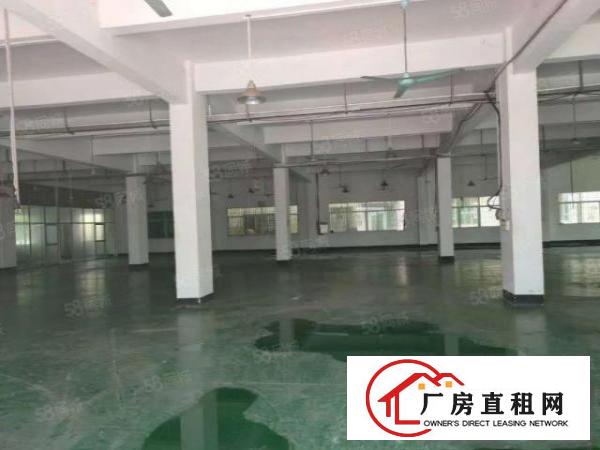  茶山镇上元工业区石大路旁新出3700平标准独门独院租金实惠