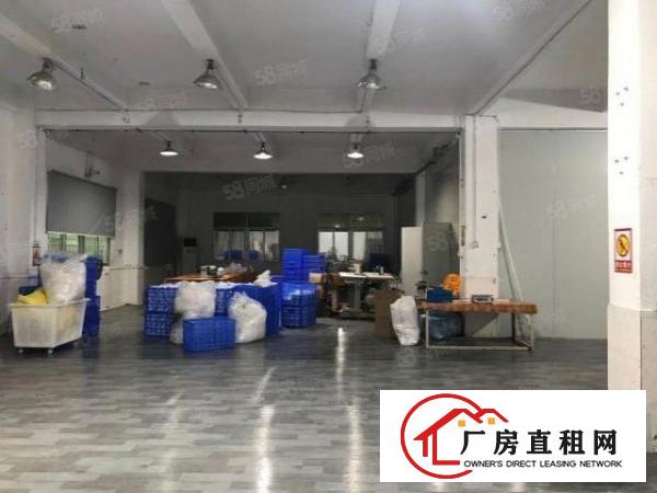 茶山镇上元工业区石大路旁新出3700平标准独门独院租金实惠