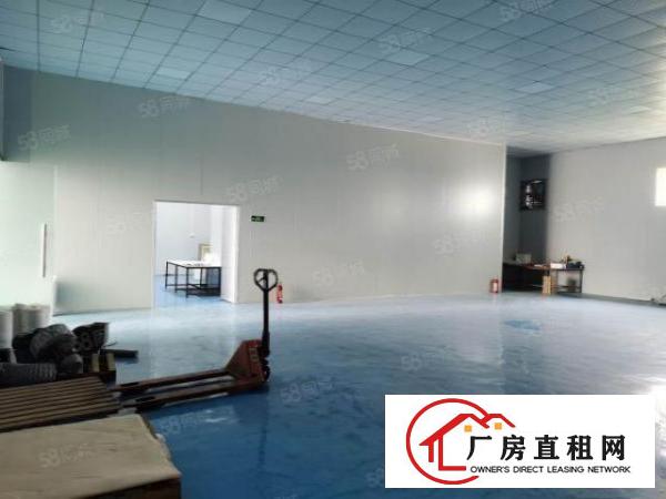  茶山镇原房东单一层铁皮房750平方招租