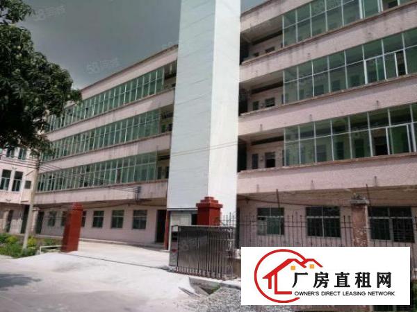 茶山原房东独院厂房7500方出租