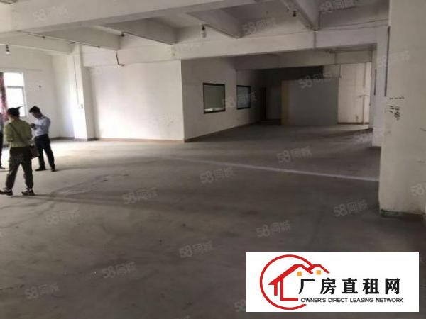  茶山原房东独院厂房7500方出租