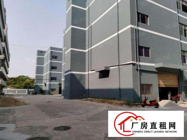  无公摊茶山镇原房东独院厂房招租有红本可办环评