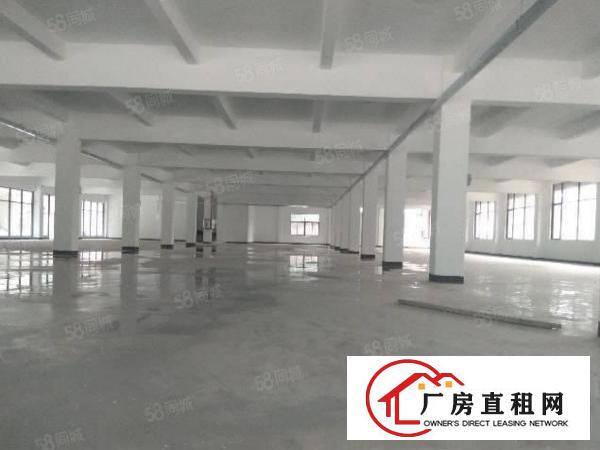  无公摊茶山镇原房东独院厂房招租有红本可办环评